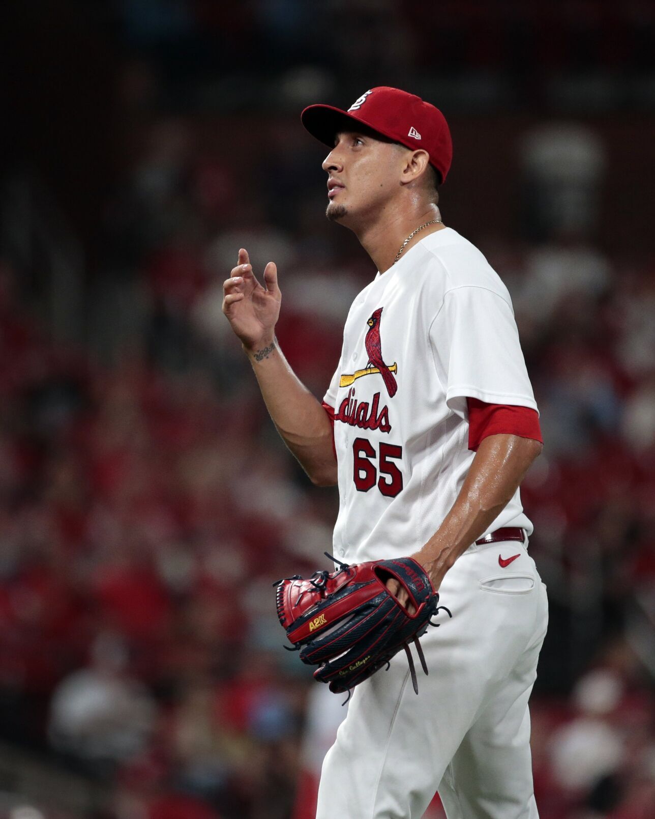 Cardinals, Nats at Busch